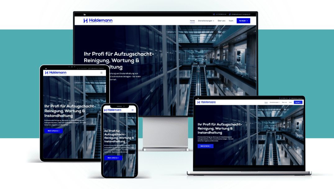 Haldemann Reinigung – Website